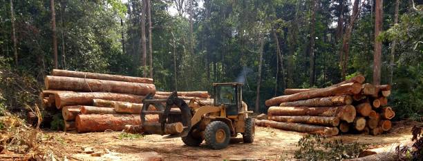 Artificial Turf Installation in Heflin, AL